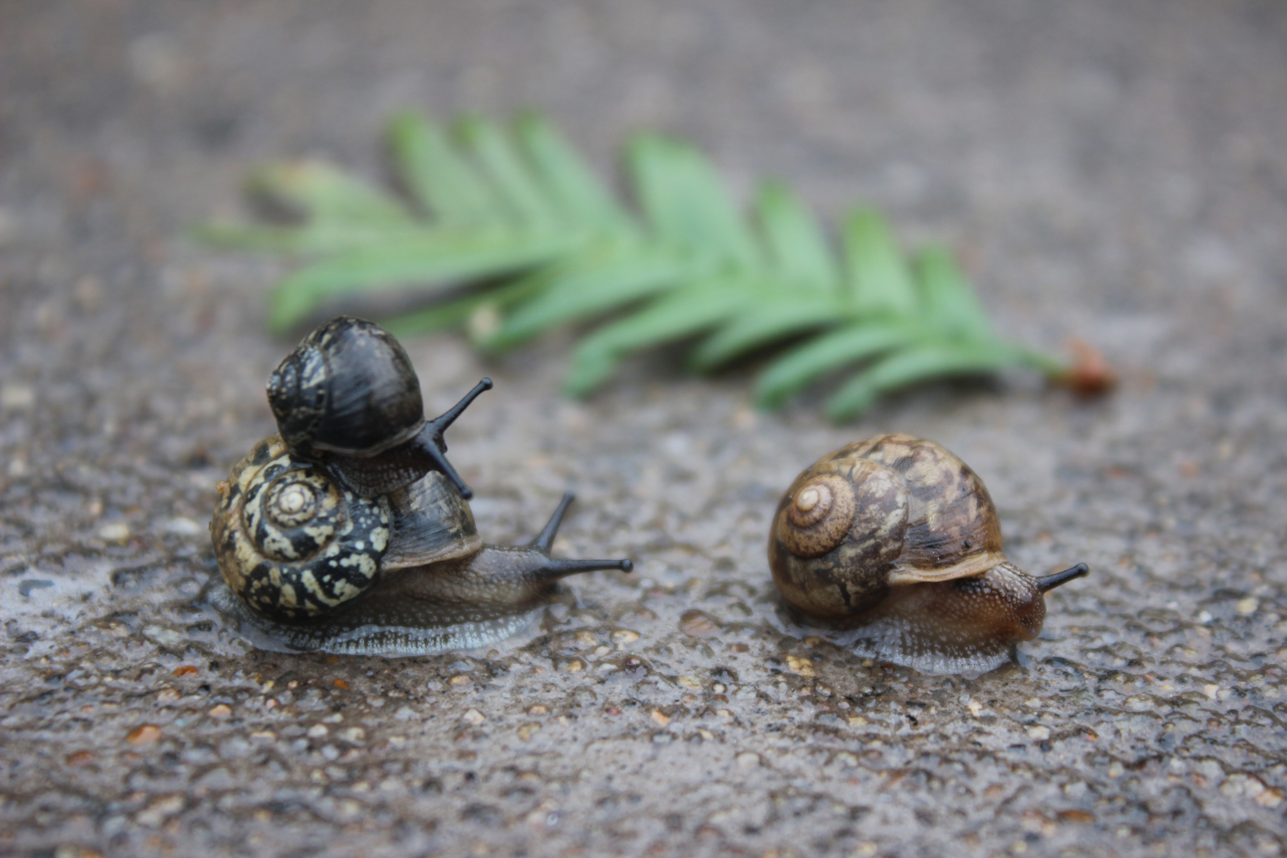 【攝影】爸爸，去哪？